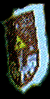zgcsheild.gif